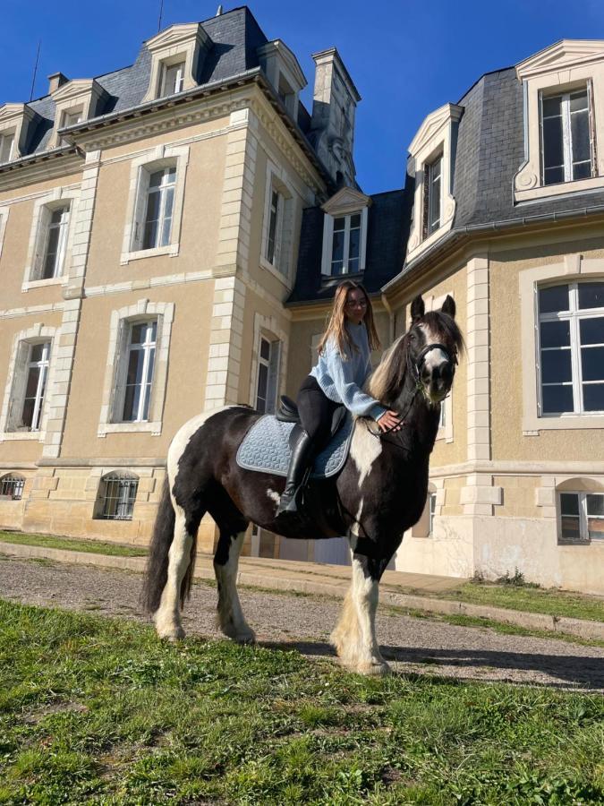 Chateau De La Bouchatte Chambre Les Roses Chazemais Kültér fotó